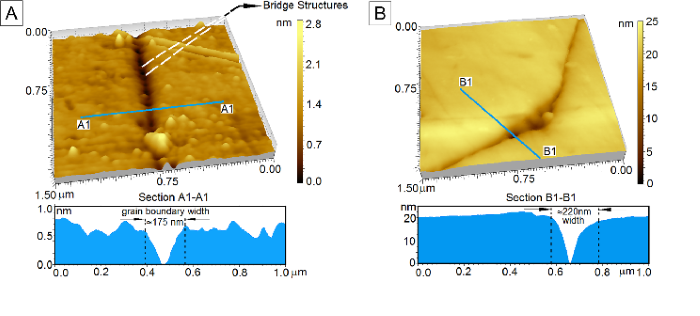 atomic-force-microscope