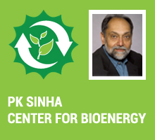 pk-sinha-centre-for-bioenergy