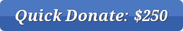 button_quick-donate--4-